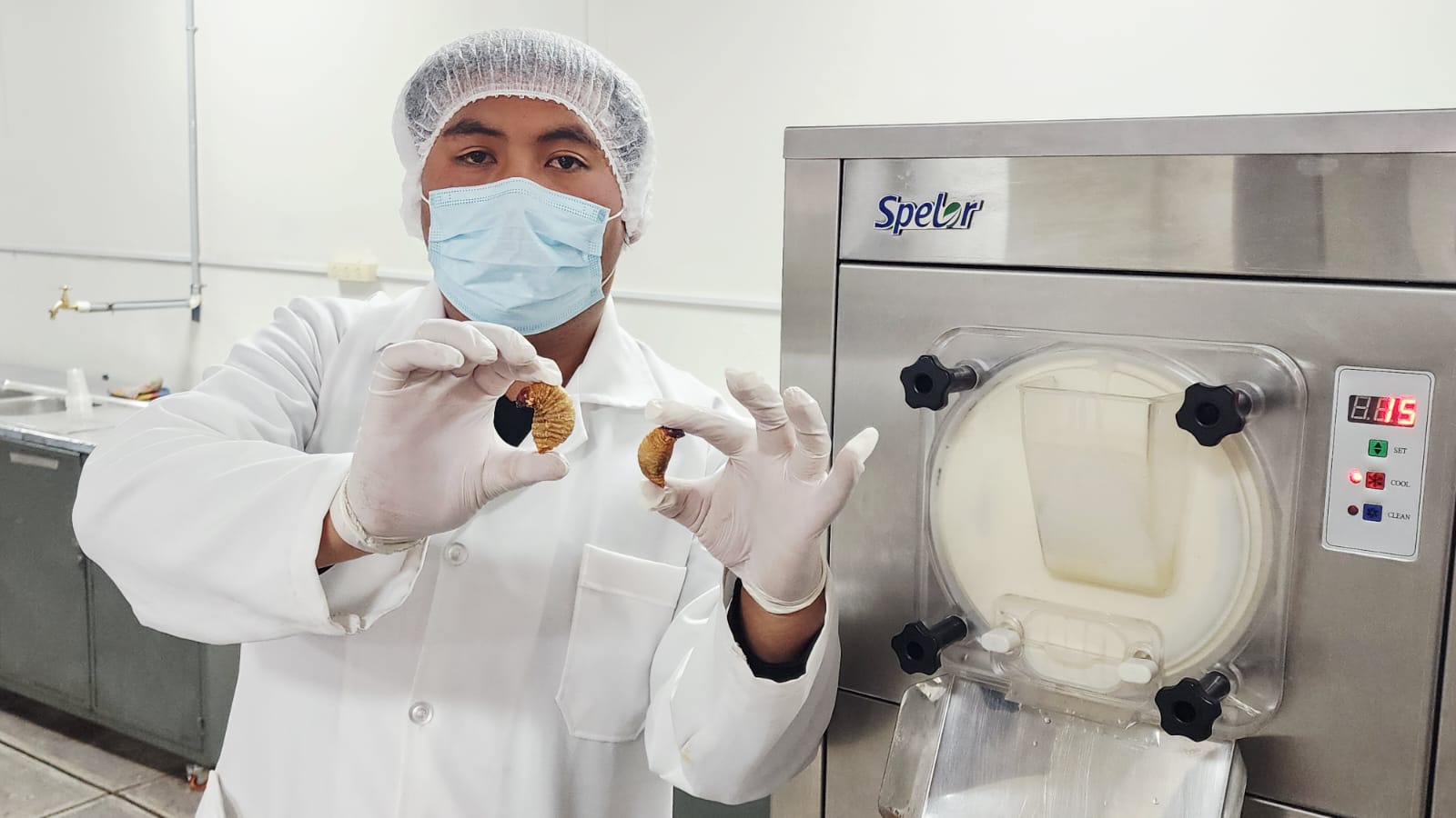 La UMSA explora el potencial de los insectos comestibles y desarrolla un helado con tuyu tuyu amazónico